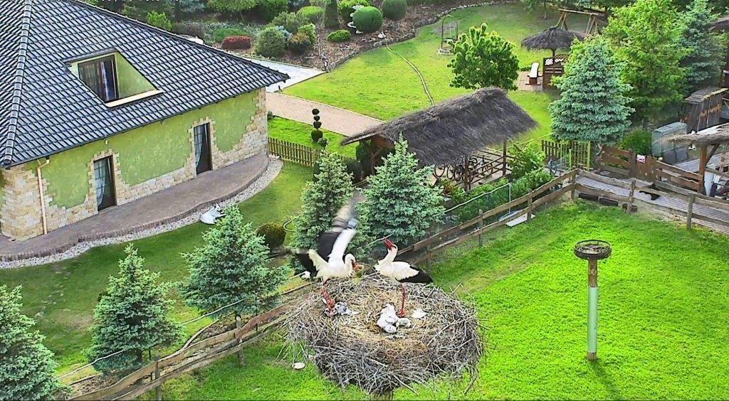Agroturystyka Klekusiowo Boleslawiec  Exterior foto