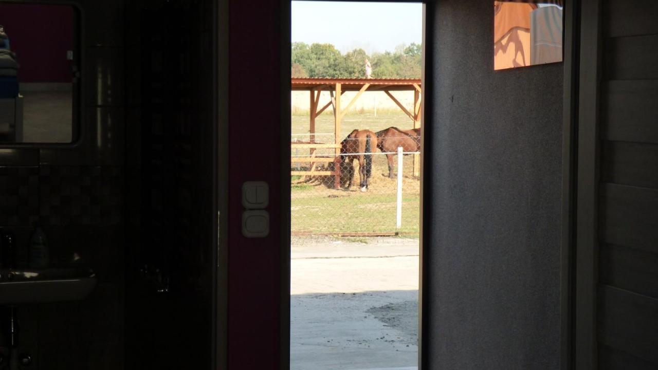 Agroturystyka Klekusiowo Boleslawiec  Exterior foto